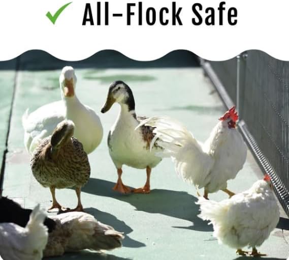 Grub Fuel Black Soldier Fly Larvae for Chickens - Nutrient Packed BSFL, Sustainably Sourced Snack for Poultry, Rich in Protein, Calcium, Fiber, Essential Fatty Acids, USA Grown (5LB)