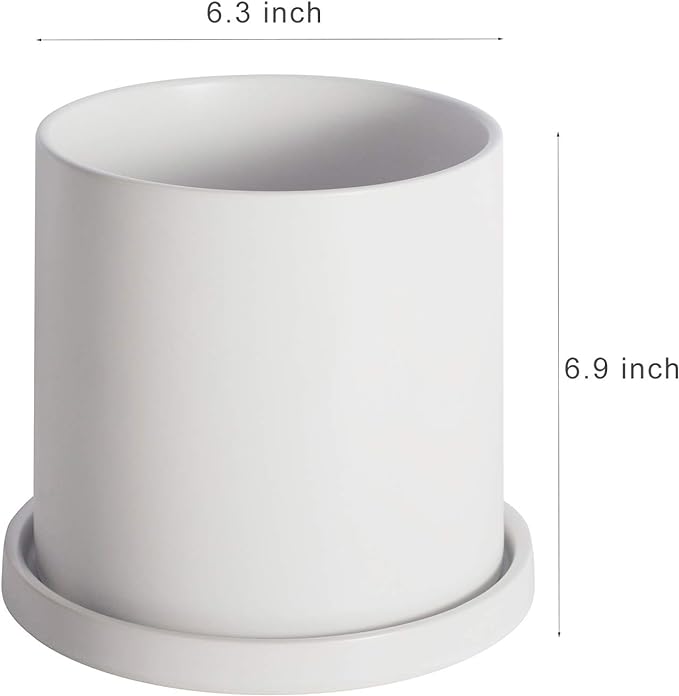 Planters for Indoor Plants Ceramic Flower Succulent Plant Pots with Drain Hole Saucer Decor for Home Office (6 inch White)