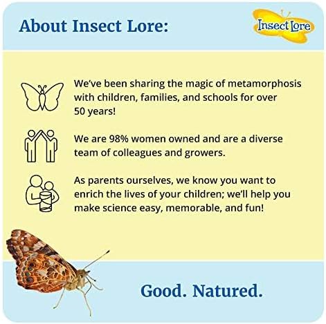 Insect Lore Bug Camp Bundle | Butterfly Kit with 1 Cup Live Caterpillars | Ladybug Land with 1 Tube Live Larvae | Ant Mountain with 1 Tube Live Western Harvester Ants | Life Cycle Figurines & More