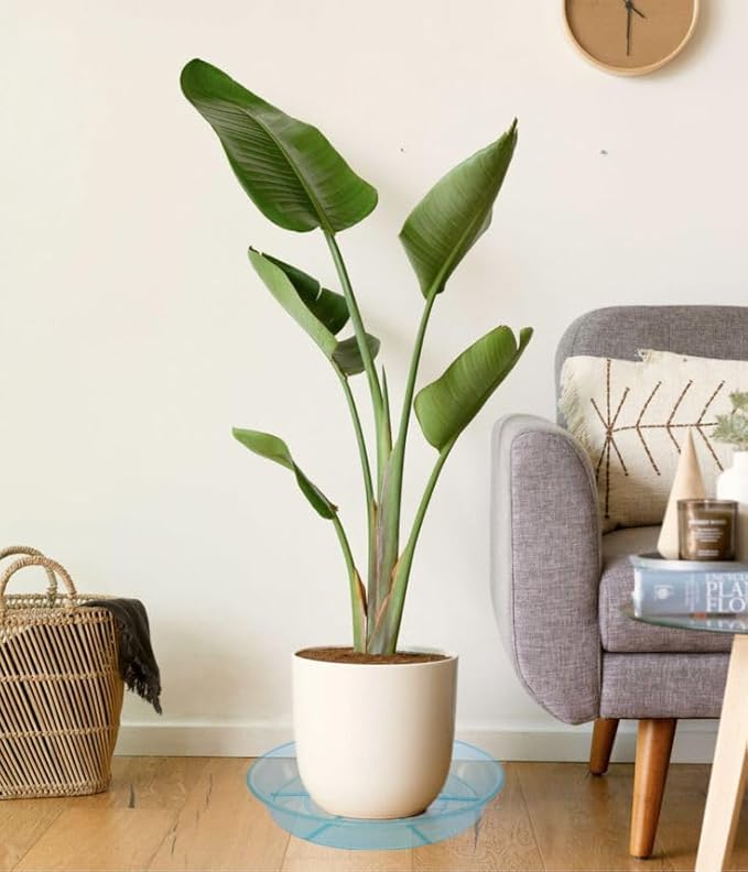 2 Pack Plant Saucer Drip Tray 13 14 inch, Large Heavy Sturdy Plastic Planter Flower Pot Saucers for Indoor Outdoor Garden, Plant Water Drip Trays for pots (14" 2Pack, Blue)