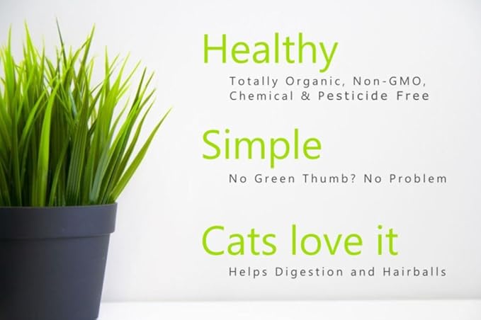 Simple Cat Grass Blend, 100% US Organic, 4 Popular Seeds: Wheat, Barley, Oats, and Rye Mix Combo, Show Your Love with a Healthy Pet Snack Treat (4 Ounce (~3200 Seeds))