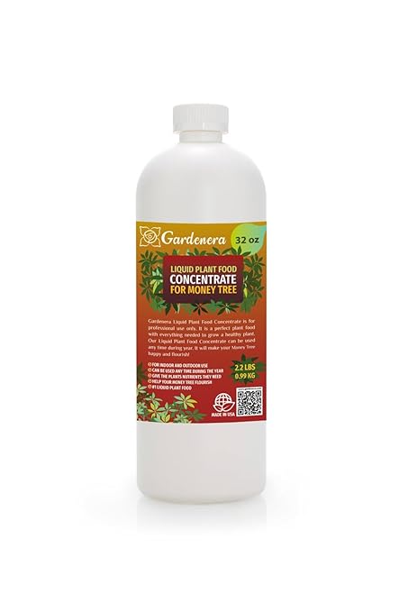Plant Growth Superfood for Money Trees with 18 Vitamins & Minerals - Organic Plant Food Fertilizer - Micro-Fungi and Bio-Organisms for Money Tree Plant Care & Growth Enhancement - 32oz