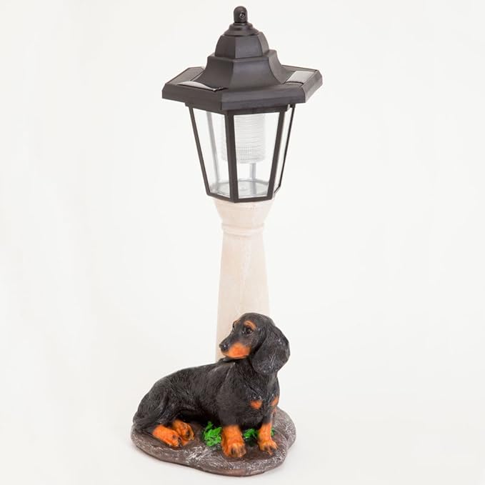 Bits and Pieces - Solar Dog Lantern-Solar Powered Garden Lantern - Resin Dog Sculpture with LED Light (Dachshund)