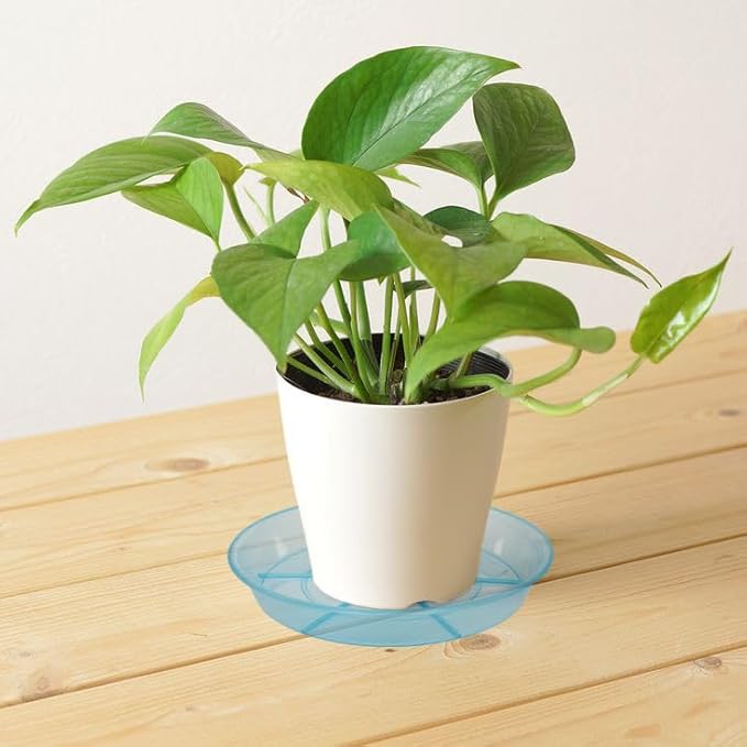 6 Pack Plant Saucer Drip Tray 9 10 inch, Plant Dishes Saucer, Heavy Sturdy Plastic Planter Flower Pot Saucers for Indoor Outdoor Garden, Plant Water Drip Trays for pots (10", Blue)