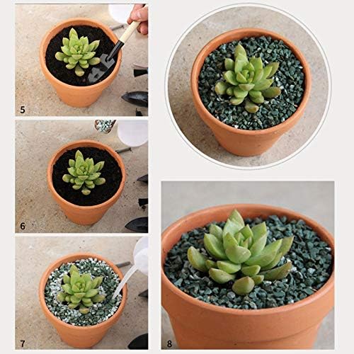 OLEEP Clay Pot - 2 Pack Large Terra Cotta Plant Pot with with Sauce,Drainage Hole, Clay Planters Pot, Terracotta Pot for Indoor Outdoor Plant (7.8 inch)