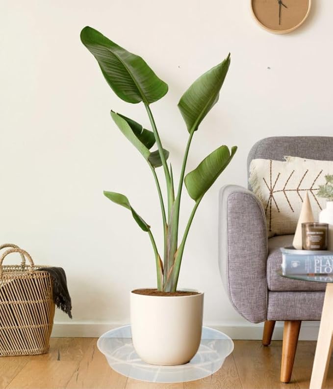 4 Pack Plant Saucer Drip Tray 17 inch, Plant Trays for Indoors No Holes, Heavy Sturdy Plastic Planter Pot Saucers for Garden, Plant Water Drip Trays for pots (17" 4Pack, Clear)