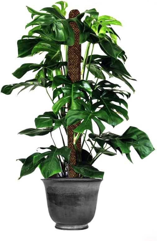 Mosser Lee ML1010H Totem Pole Plant Support, 24",Brown