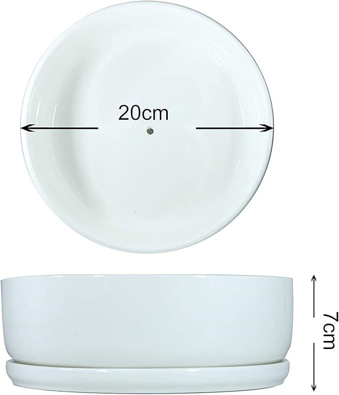 SQOWL 8 inch White Round Ceramic Succulent Planter Pot Modern Flower Cactus herb Big Planter with Removable Saucer Indoor or Outdoor