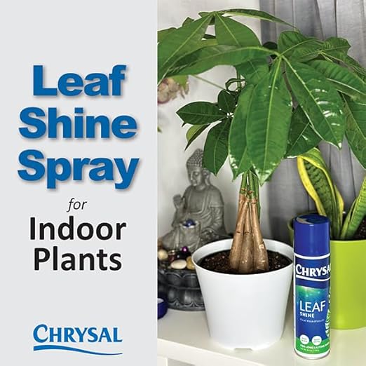 Chrysal Leafshine 5.6 oz Spray for Indoor Plants – Flower Arrangement Spray for Bouquets, House Plants & More – Environmentally Safe Dust Remover & Leaf Cleaner (3 Pack)