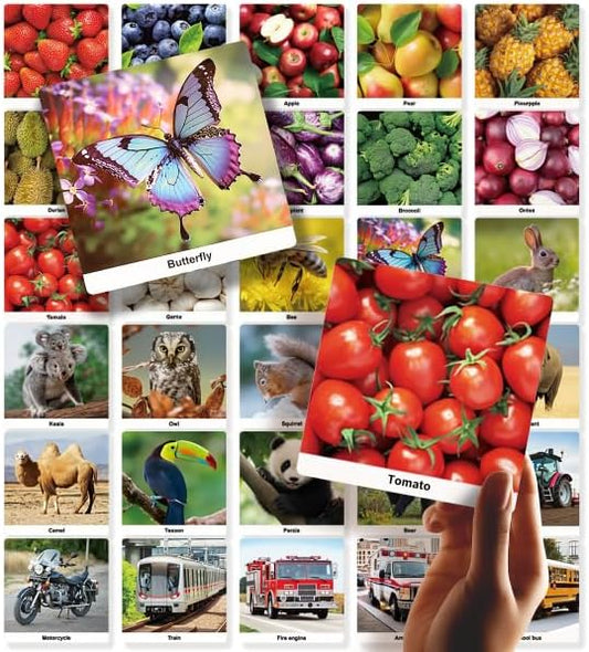 Dotimo 30 Nouns on Flashcards, Picture & Word Photo Cards – Language Builder Visual Aid, Language Learning Tool for Autism, ESL Teaching Materials for Adults, Vocabulary for Kids 3+