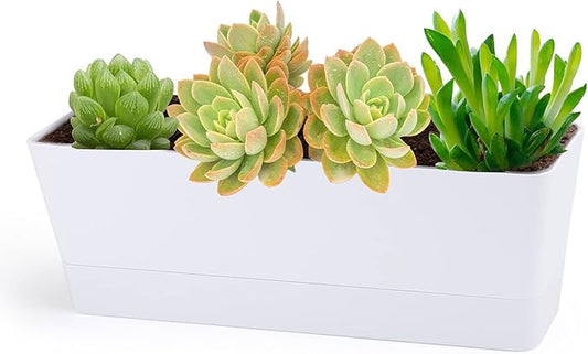 GREANER Herb Planter with Tray, 1 Pack 12x3.8 Inch Rectangle Window Box, Indoor Succulent Flowers Succulent Plastic Pot for Windowsill, Garden, Balcony, Office Outdoor Decoration - White