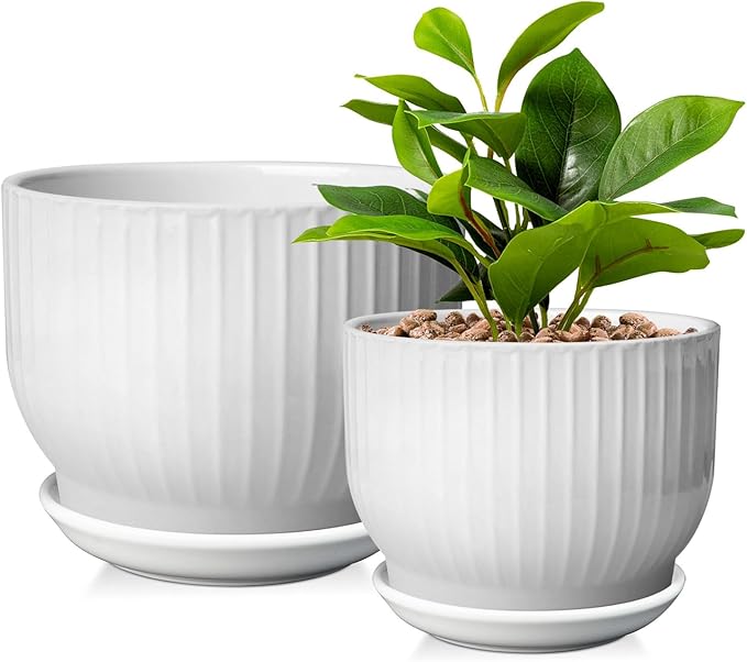 6.7 + 5.5 Inch Plant Pot, Ceramic Planter with Drainage and Saucer, Ceramic Pots for Plants, Indoor Plant pots,Ceramic Flower pots（Pure White, Plants NOT Included）