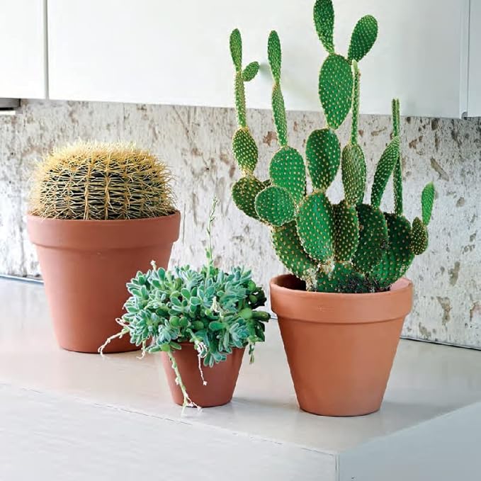 OLEEP Clay Pot - 10 Pack Large Terra Cotta Plant Pot with Drainage Hole, Clay Planters Pot, Terracotta Pot for Indoor Outdoor Plant (5.5 inch)