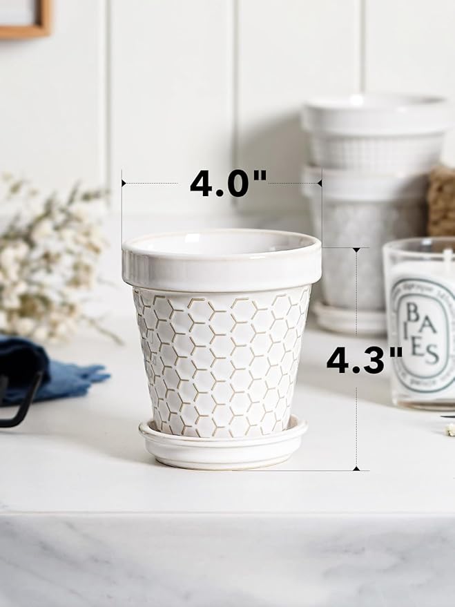 LE TAUCI Succulent Pots, Cute Indoor Plant Pot with Saucer, 4 Inch Mini Ceramic Flower Pots with Drainage, for Plant Lover or Mothers Day,Housewarming, Decorative Lovely Planter for Cactus,Set of 4