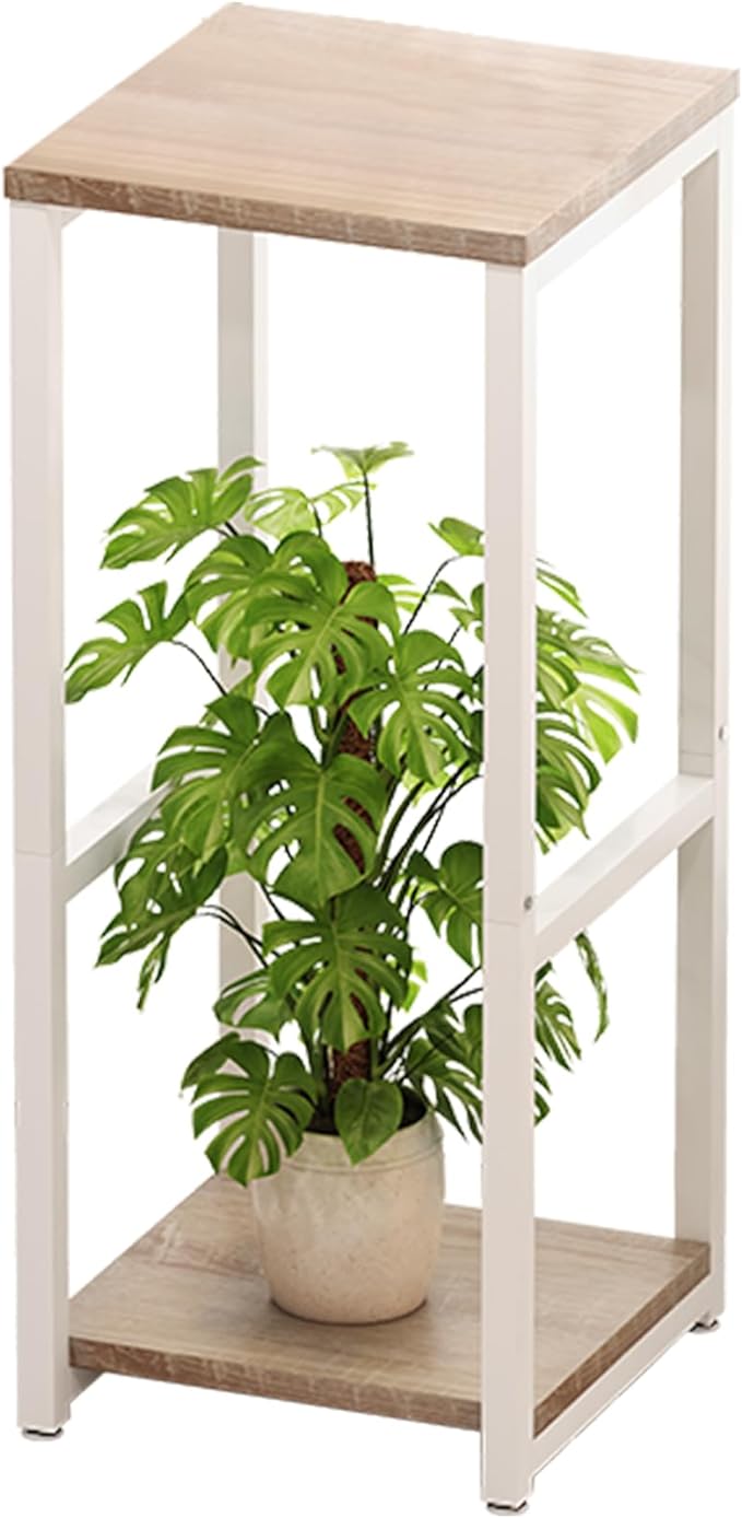 Plant Stand Indoor Corner Tall 2 Tier Metal Modern Flower Storage Plant Shelf Holder for Living Room Balcony Garden,White (2 Tier-White)