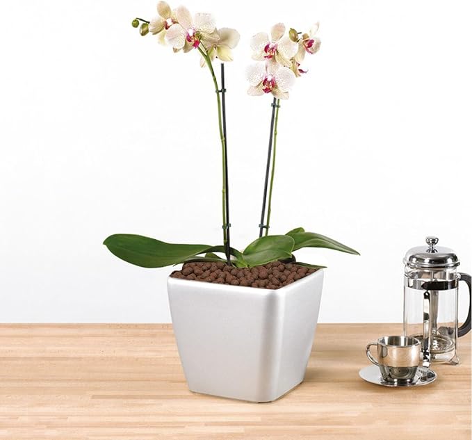 2.5 lbs LECA Balls for Indoor Plants, 4-16mm Clay Pebbles for Plants Hydroponic, Aquaponics, Natural Leca Balls for Soil Root Development, Orchid Potting Mix