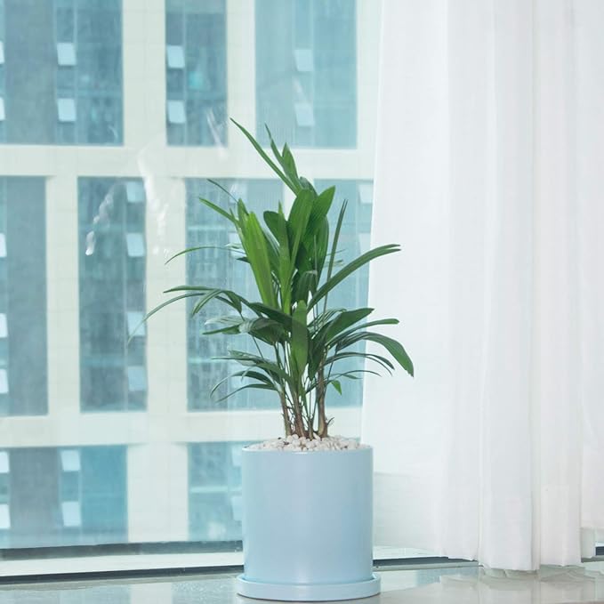 Planters for Indoor Plants Ceramic Flower Succulent Plant Pots with Drain Hole Saucer Decor for Home Office (5 inch Blue)