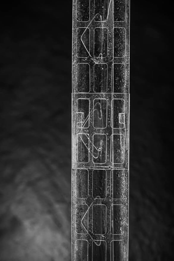 Plastic Moss Poles for Climbing Plants V2 Small 10 Pcs Stackable Moss Pole Monstera Plant Support-Plant Climbing Pole, DIY Moss Pole for Plants Indoor, Plant Sticks Support by THICCLY