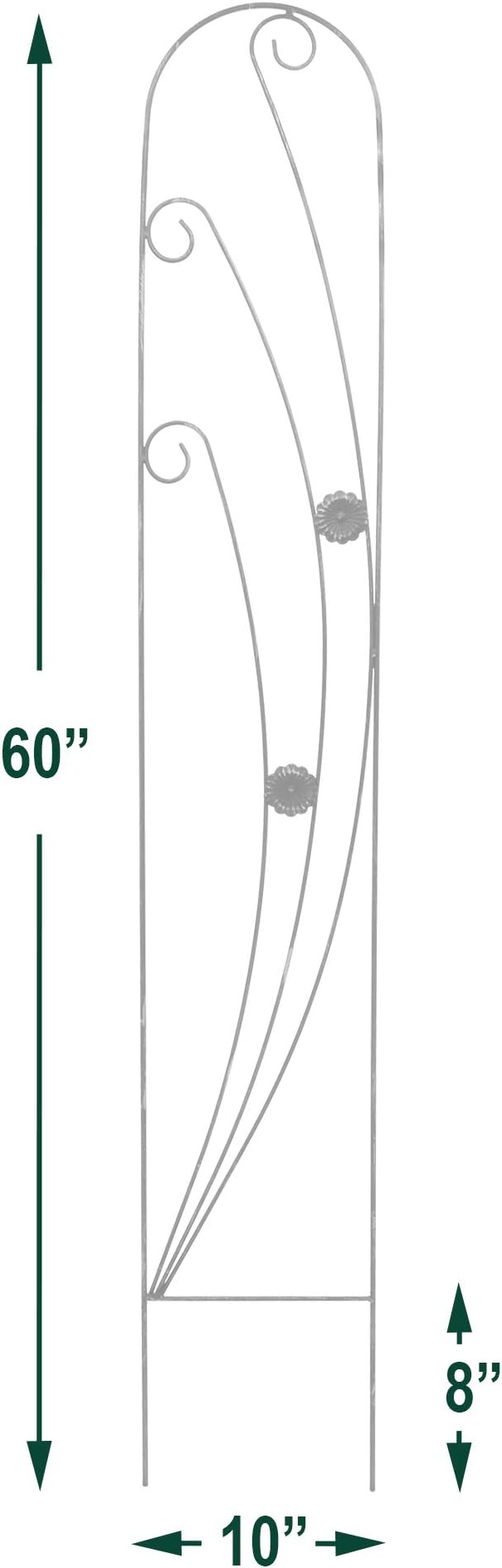 Arcadia Garden Products TR08 Phoenix Trellis 5' x 10", Black