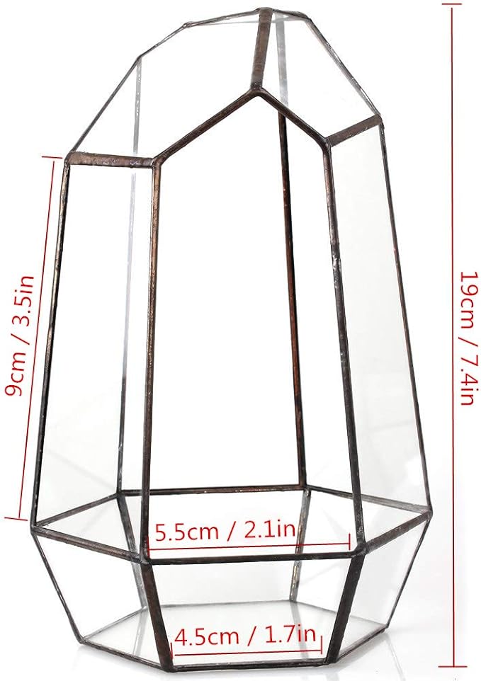 NCYP Small Glass Geometric Terrarium - 4.9 x 3.9 x 7.4 Inches Irregular Clear Planter Pot for Succulents, Cactus, Indoor Garden Tabletop Decoration, Centerpiece (No Plants, No Door)