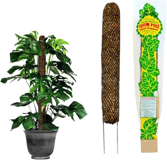 Mosser Lee Sphagnum Moss Pole for Indoor Plants, Monstera Moss Pole, Plant Pole Made in USA - Ideal for Climbing Plants, Enhances Plant Growth & Stability - 30" Height