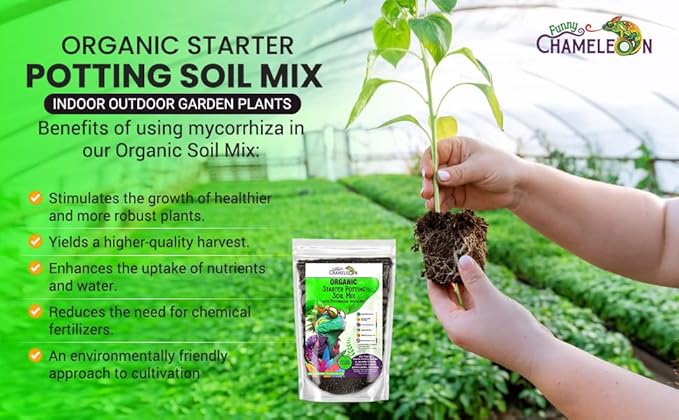 Organic Seed Starter Soil – Seed Starting Mix with Mycorrhizal Fungi – Natural Root Stimulator – Potting Soil for Vegetables and Herbs (1 Quart)