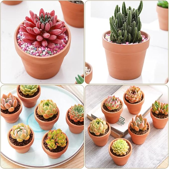 OLEEP Clay Pot - 21 Pack Large Terra Cotta Plant Pot with Drainage Hole, Clay Planters Pot, Terracotta Pot for Indoor Outdoor Plant (3.5 inch)