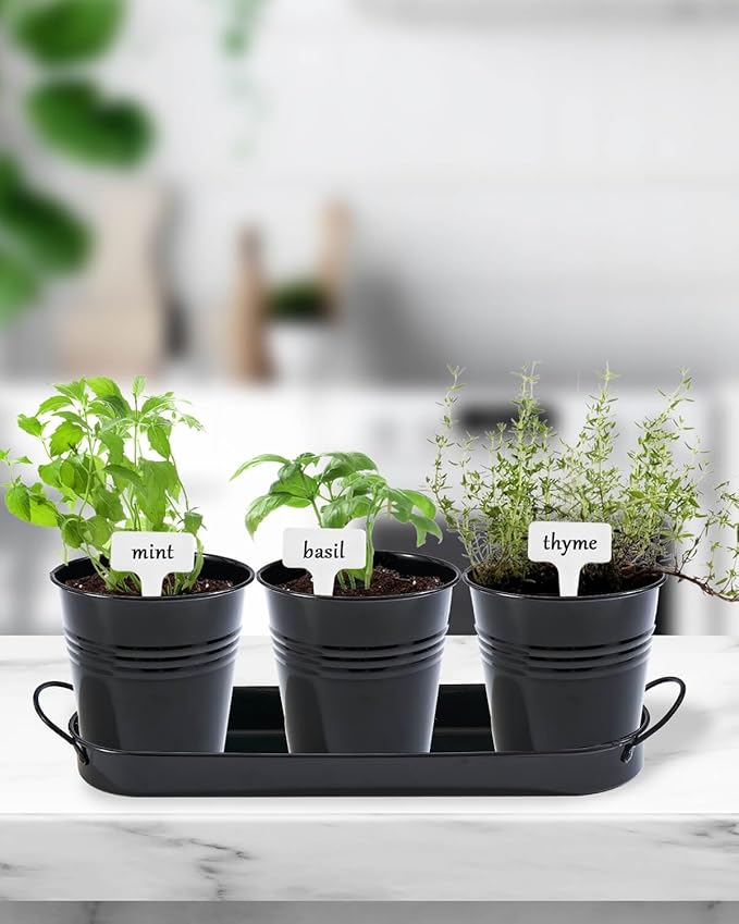 vensovo Indoor Herb Planter Set - Galvanized Windowsill Garden Pots with Tray & Drainage, Set of 3 Metal Window Planters for Kitchen & Outdoor Use, Black