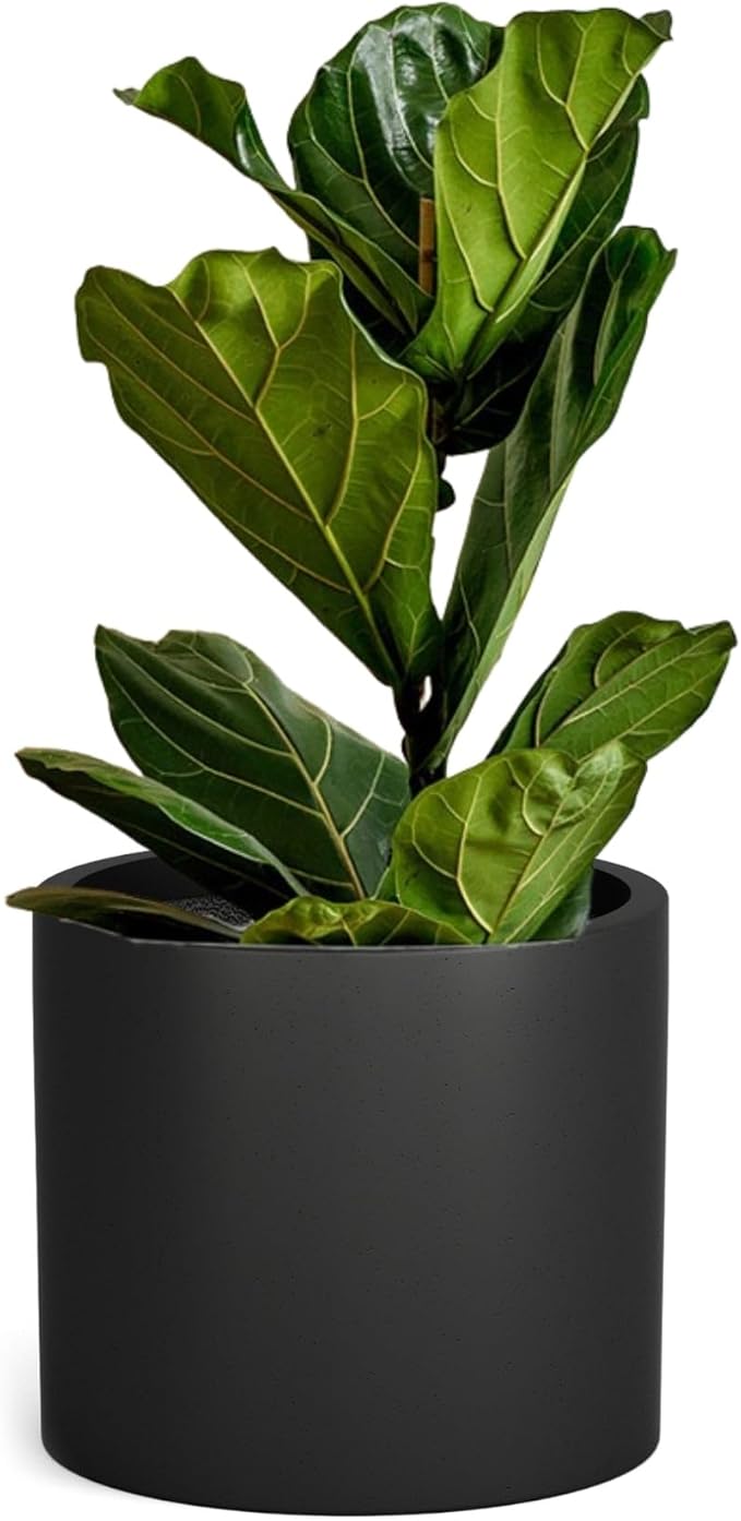 Fox & Fern 14.6 Inch Extra Large Planter — Premium Lightweight Fiberstone Matte Black Plant Pot with Drainage Plug; Big Planter for Indoor & Outdoor Use; Weather Resistant & UV Resistant
