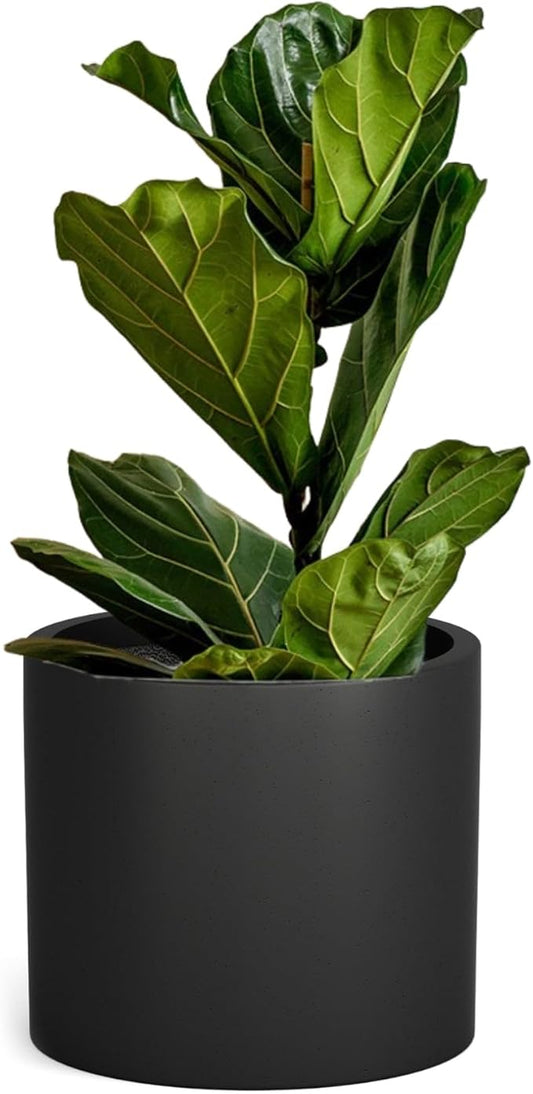 Fox & Fern 14.6 Inch Extra Large Planter — Premium Lightweight Fiberstone Matte Black Plant Pot with Drainage Plug; Big Planter for Indoor & Outdoor Use; Weather Resistant & UV Resistant