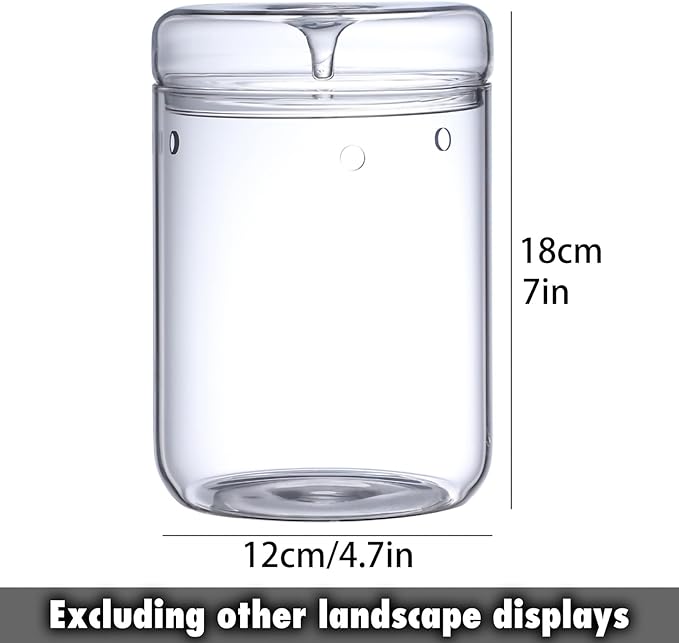 SARUFO Small Glass Plant Terrarium 4.7"X7" Inches Succulent Air Planter Fern Moss Micro-Landscape Vase for Home Garden Office Tabletop Decoration Container with Lid Indoor Wardian Copyright Patent