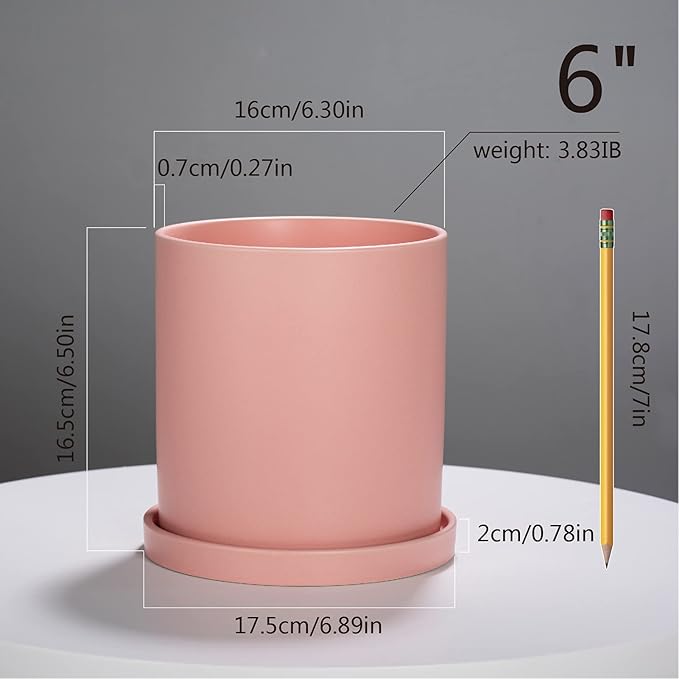 Planters for Indoor Plants Ceramic Flower Succulent Plant Pots with Drain Hole Saucer Decor for Home Office (6 inch Pink)