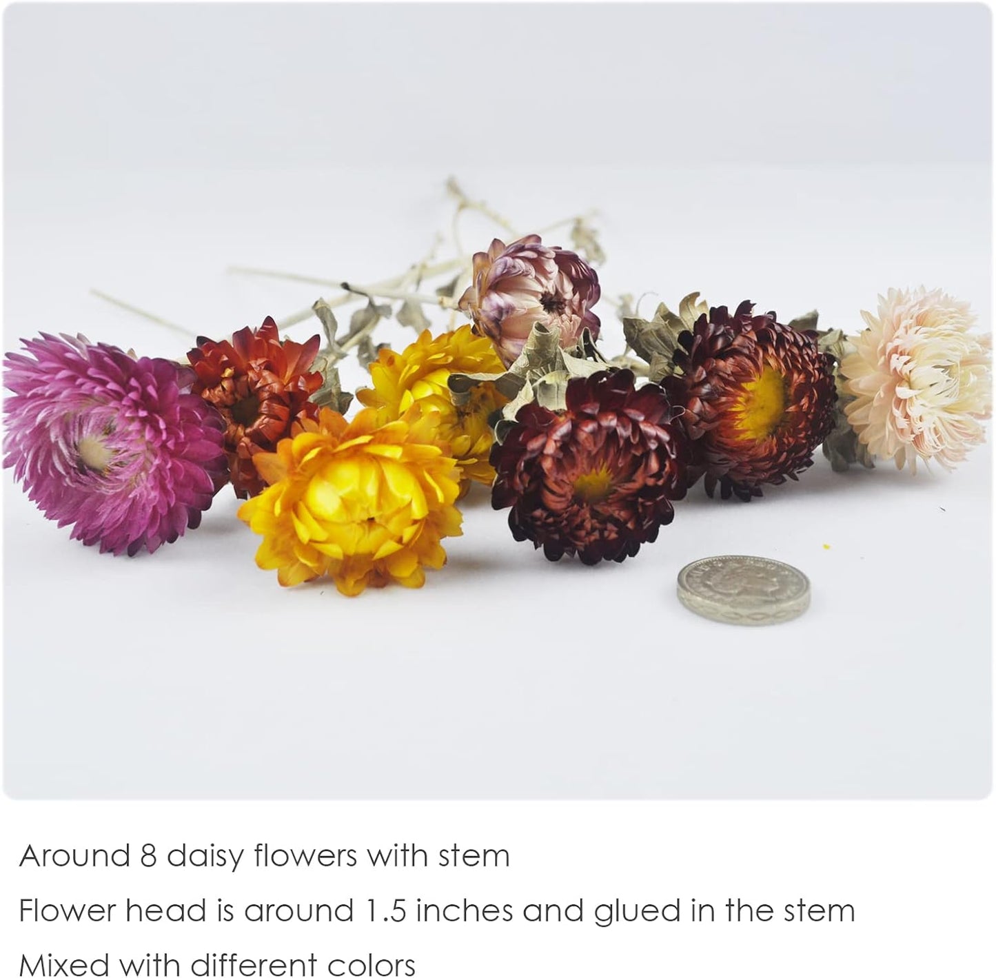 L'BREVOGA Dried Flower Bouquets, Natural Dried Daisy, Chrysanthemums with Baby’s Breath for Floral Arrangement Home Decoration Party Gift (Daisy)