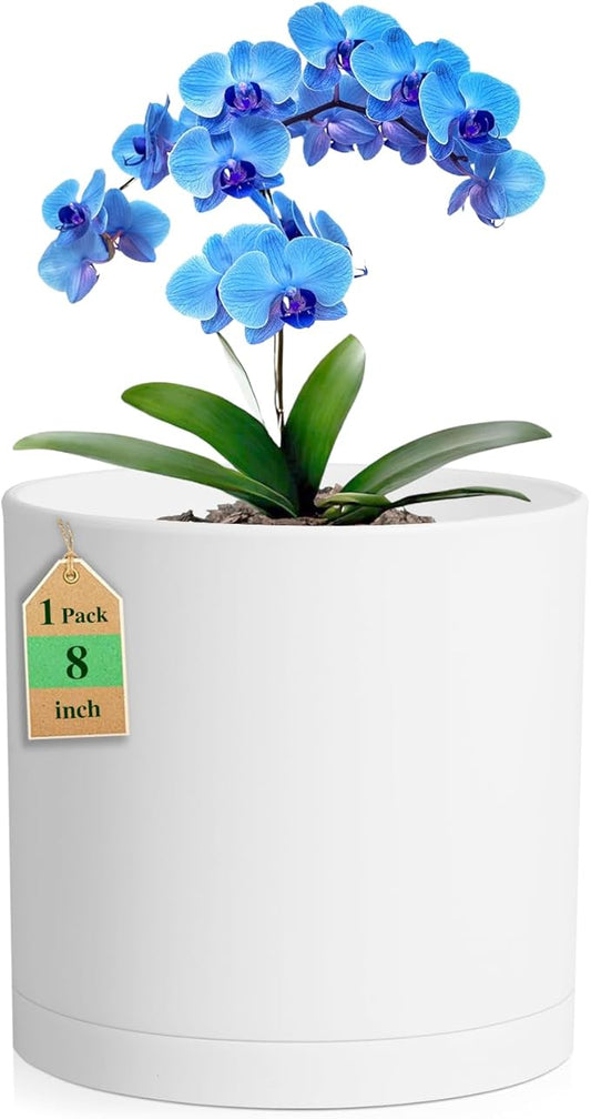 8 Inch Cylinder Plant Pots for Indoor Outdoor Plants, Medium Deep Flower Pots with Drainage Holes & Saucer, Decorative Plastic Planter Pots for Garden House Plants, White