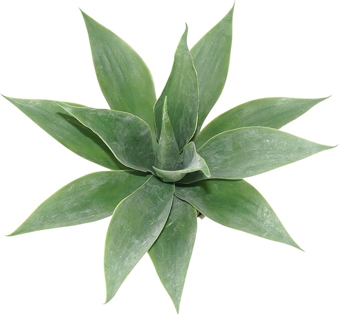 Artificial Potted Plants, 13.8" Artificial Succulent Fake Aloe, Large Faux Aloe Plant in Pot for Home Office Room Badroom Garden Decor (Grey)