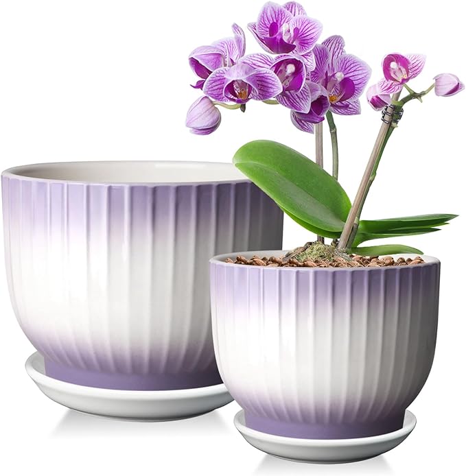 6.7 + 5.5 Inch Plant Pot, Ceramic Planter with Drainage and Saucer, Ceramic Pots for Plants, Indoor Plant pots,Ceramic Flower pots（Purple + White, Plants NOT Included）