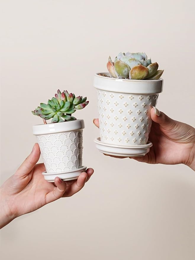 LE TAUCI Succulent Pots, Cute Indoor Plant Pot with Saucer, 4 Inch Mini Ceramic Flower Pots with Drainage, for Plant Lover or Mothers Day,Housewarming, Decorative Lovely Planter for Cactus,Set of 4
