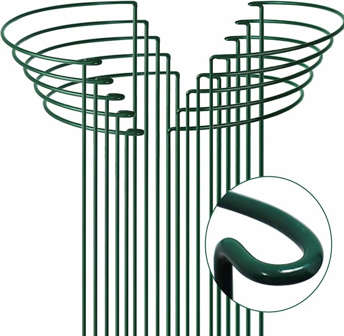 TCBWFY 24" Hx12 D Plant Supports Stakes for Large Heavy Plants,6 Pack Peony Supports,Heavy Duty 5mm Wire Peony Cages,Interlock Garden Supports Ring Border Support,Plant Support Cage for Rose Flowers