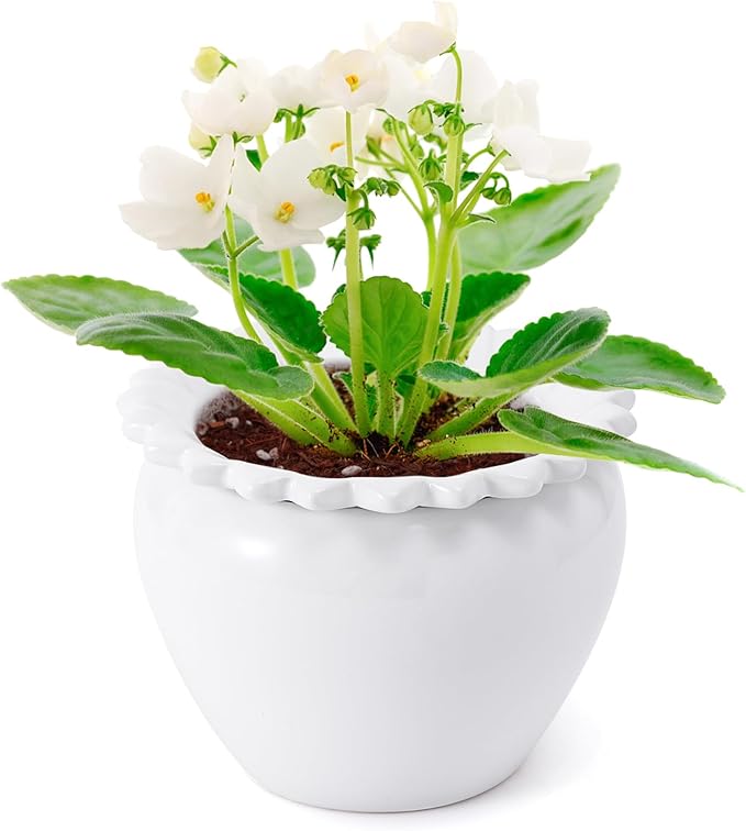 Self Watering Plant Pot African Violet Pots Ceramic 6.5 * 4.6 * 4 inch White for Indoor Flowers and Plants Simple Plant Self Watering Pot Modern Decor Pots Efficient Absorption Water