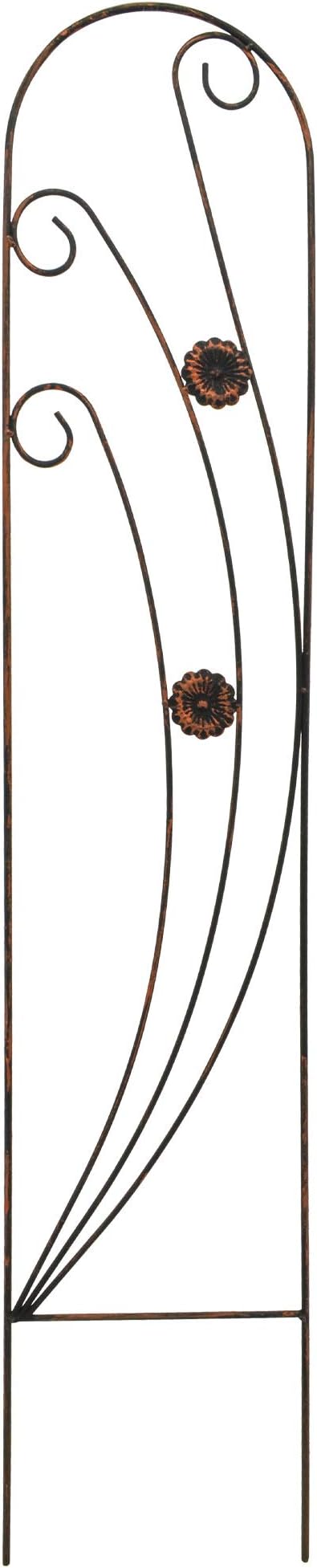 Arcadia Garden Products TR07 Phoenix Trellis Size: 4', Black