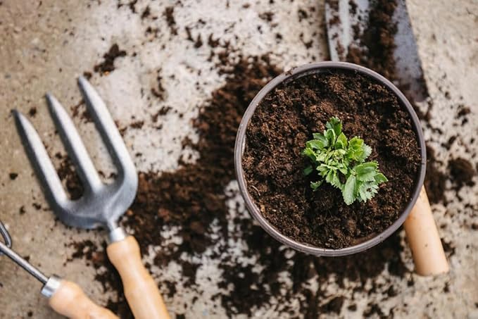 Premium Celery Potting Soil Mix - Optimal Nutrient-Rich Blend for Thriving and Crisp Celery Plants - 10 Quart