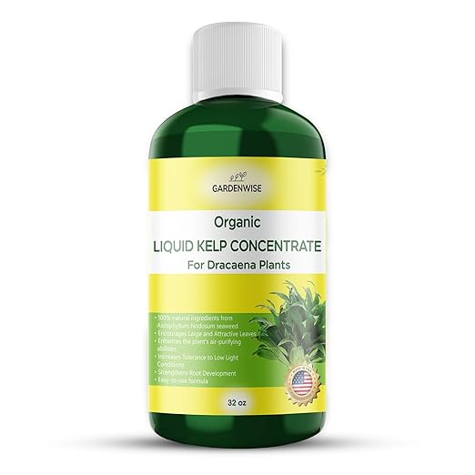 Liquid Kelp Fertilizer: Premium Dracaena Fertilizer - Plant Food for Dracaena - Organic Seaweed Fertilizer for Robust Growth (32 OZ)