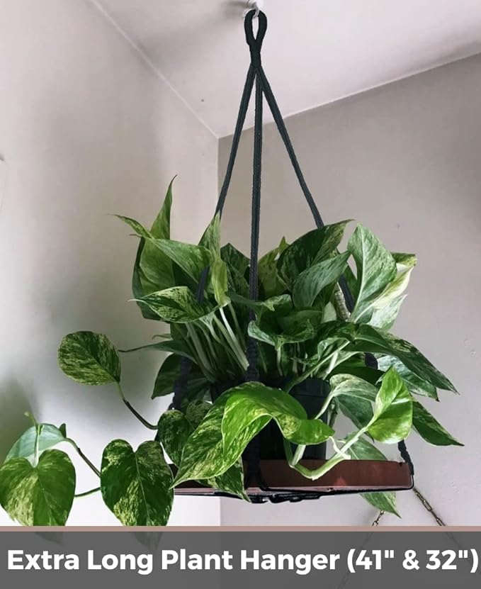 2 Pack Macrame Plant Hanger | Plant Hanger Indoor, Hanging Planter Shelf | Hanging Planter (Black) (1 Large + 1 Medium)