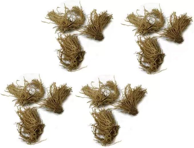 Fantastic Deal - 12 Bare Roots Hosta Plants - Mixed Heart-Shaped Hosta - Rich Green Foliage, Low Maintenance, Heart Shaped Leaves - Indoor and Outdoor