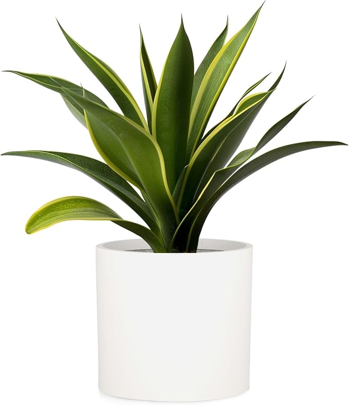 Fox & Fern Large 12 Inch Plant Pot with Hidden Saucer — Premium Lightweight Fiberstone Matte White Self Watering Planter with Seamless Saucer; Indoor & Outdoor Use; Weather Resistant & UV Resistant