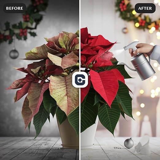 Poinsettia Plant Fertilizer - 3-1-2 NPK - Organic Liquid Plant Food for Christmas Flowers and Trees - 32oz Concentrate