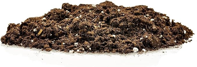 Premium Dracaena Potting Soil Mix - (1 Quart Bag)