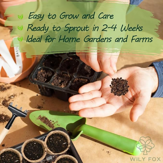 Premium Rare Hollyhock Seeds – 100+ Double Pink Hollyhock Flower Seeds – Non-GMO, Heirloom Perennial – Showy Blooms for Outdoor Planting (Double Pink Hollyhock)