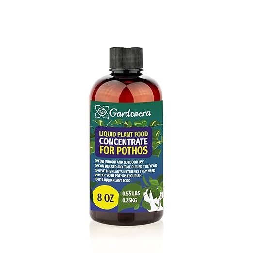 Plant Growth Superfood for POTHOS Plant with 18 Essential Vitamins & Minerals - Organic Plant Food Fertilizer - Micro-Fungi and Bio-Organisms for POTHOS Plant Care & Growth Enhancement - 8oz