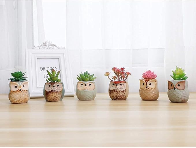 T4U 2.5 Inch Owl Ceramic Succulent Planter Pots with Drainage Hole Set of 6, Small Cute Flower Pots Plant Holder Container Best for Home Office Garden Decoration Owl Gift Ideas